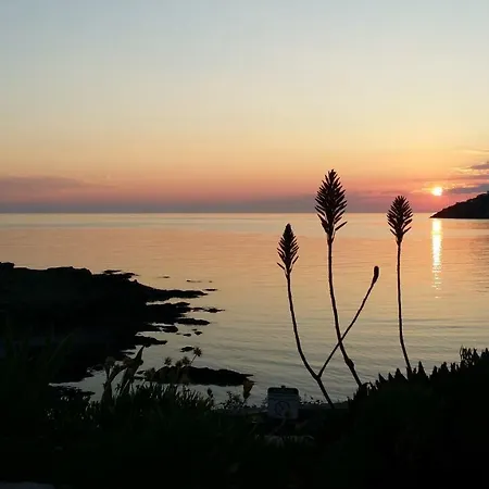 Apartman Carpe Diem Port De La Selva El Port De La Selva